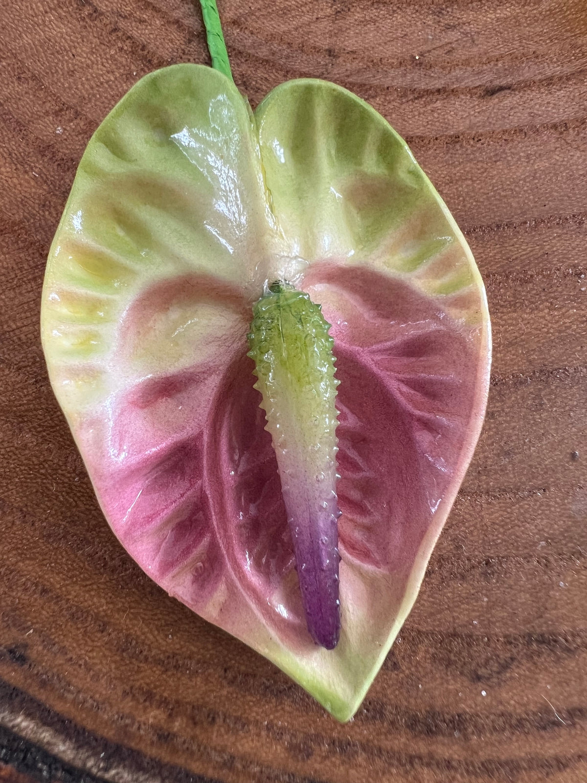 Anthurium
