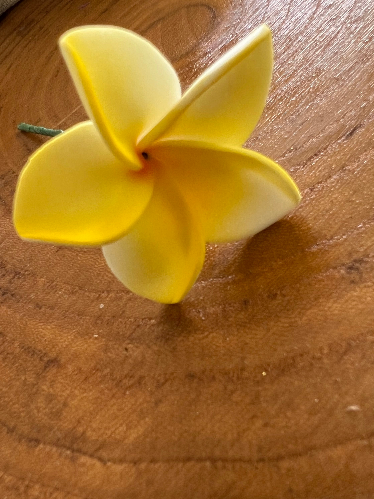 Mini Plumeria