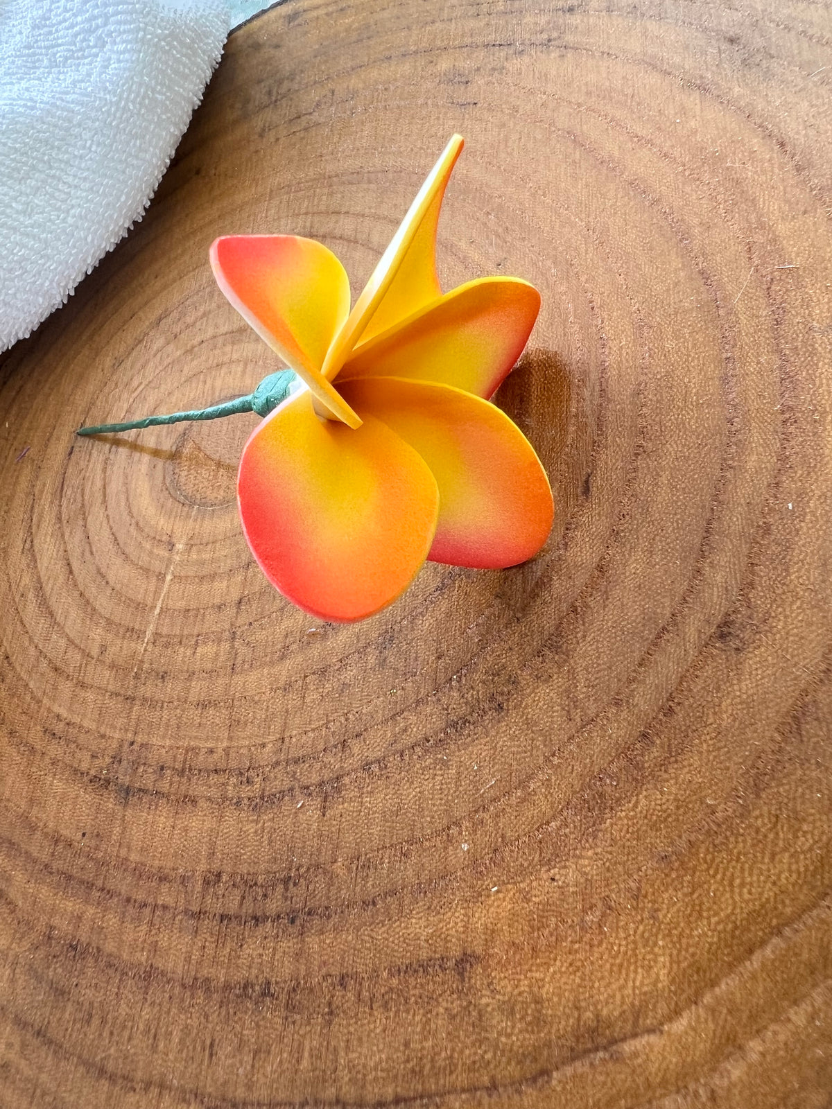 Plumeria Flower