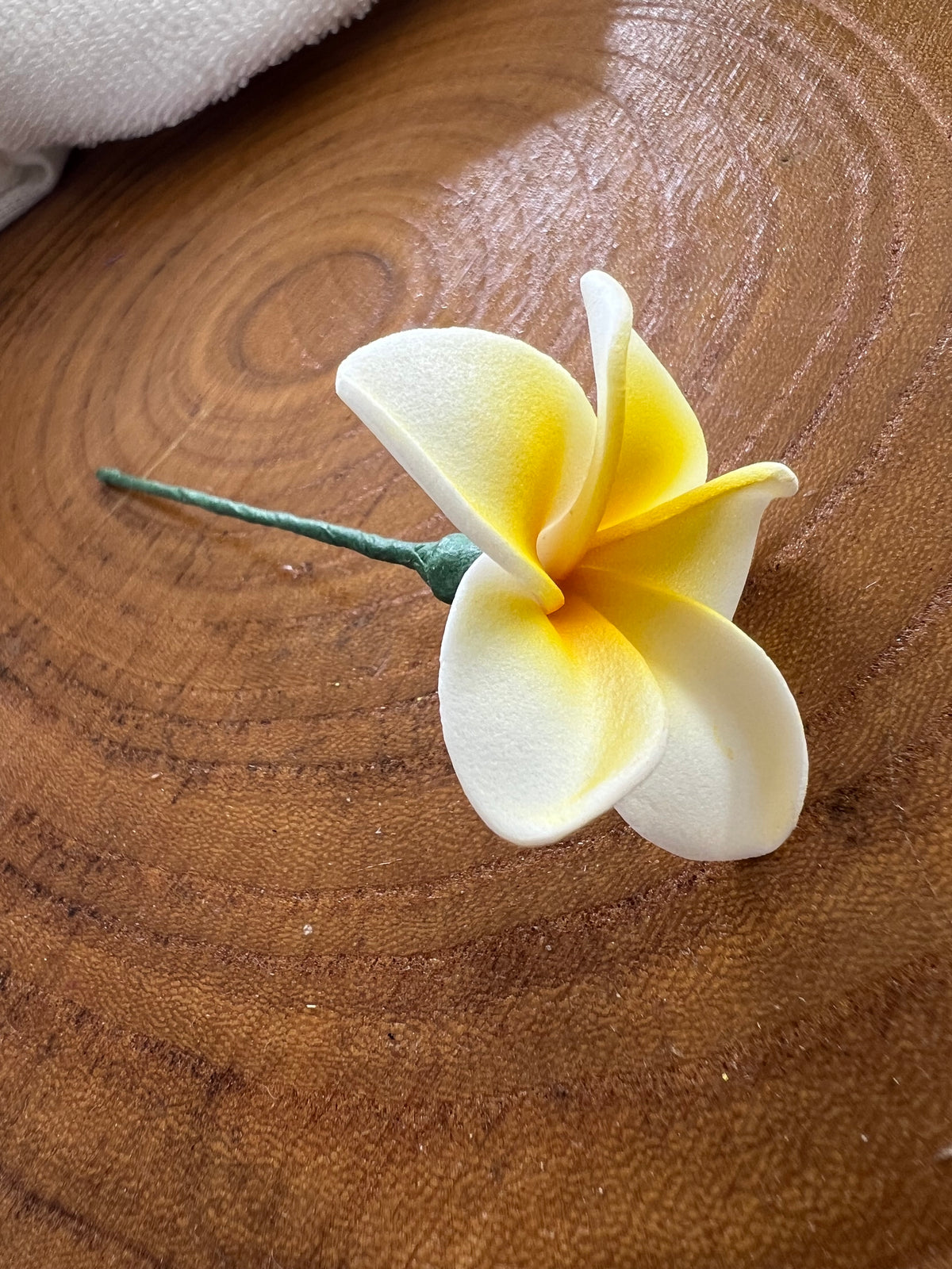 Plumeria Flower