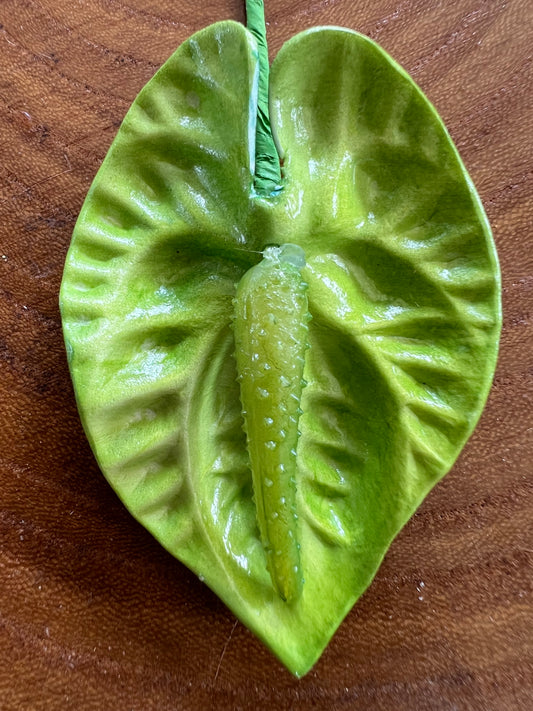 Anthurium Flower