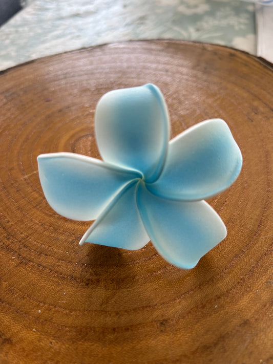 Plumeria