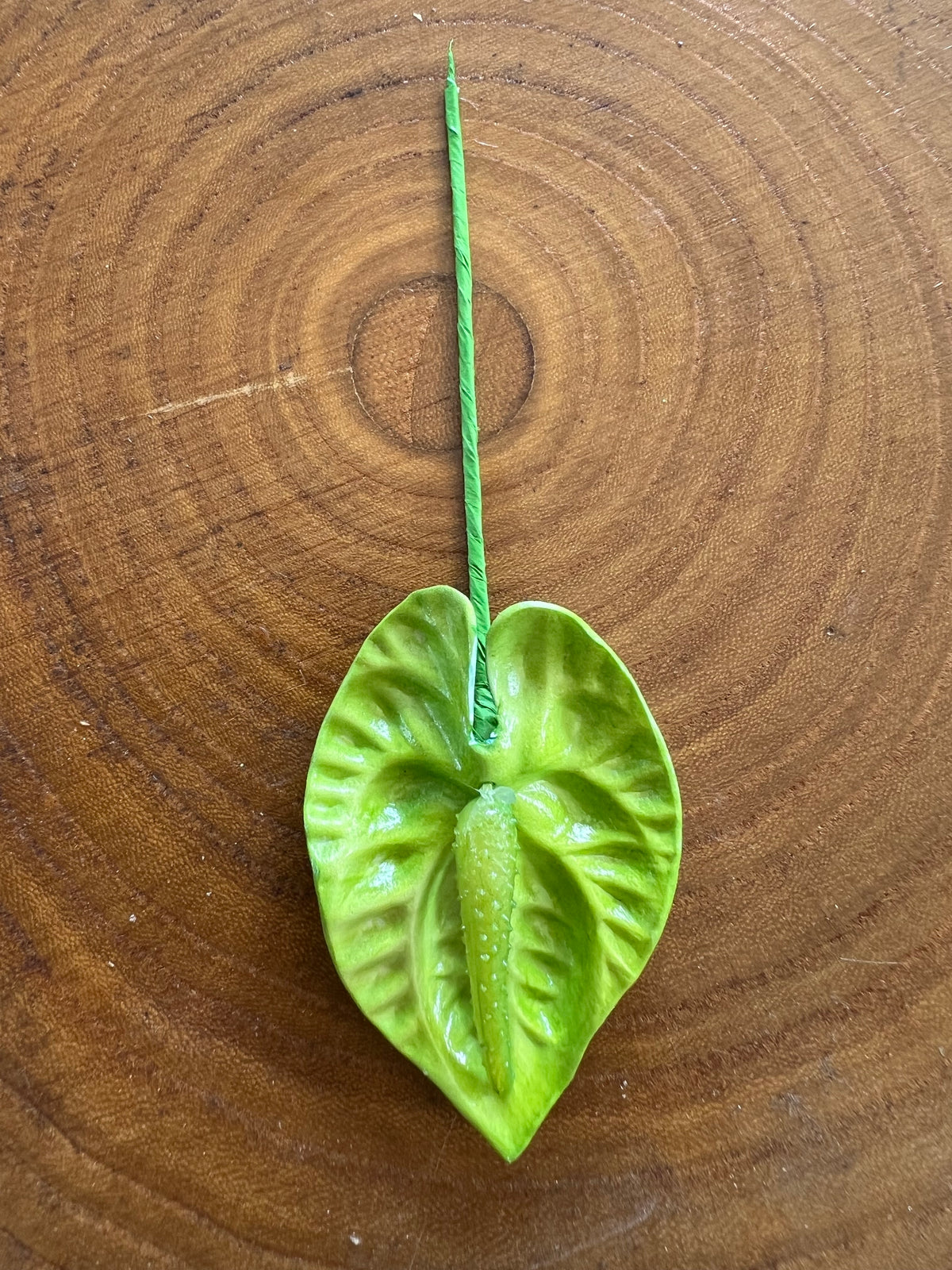 Anthurium Flower