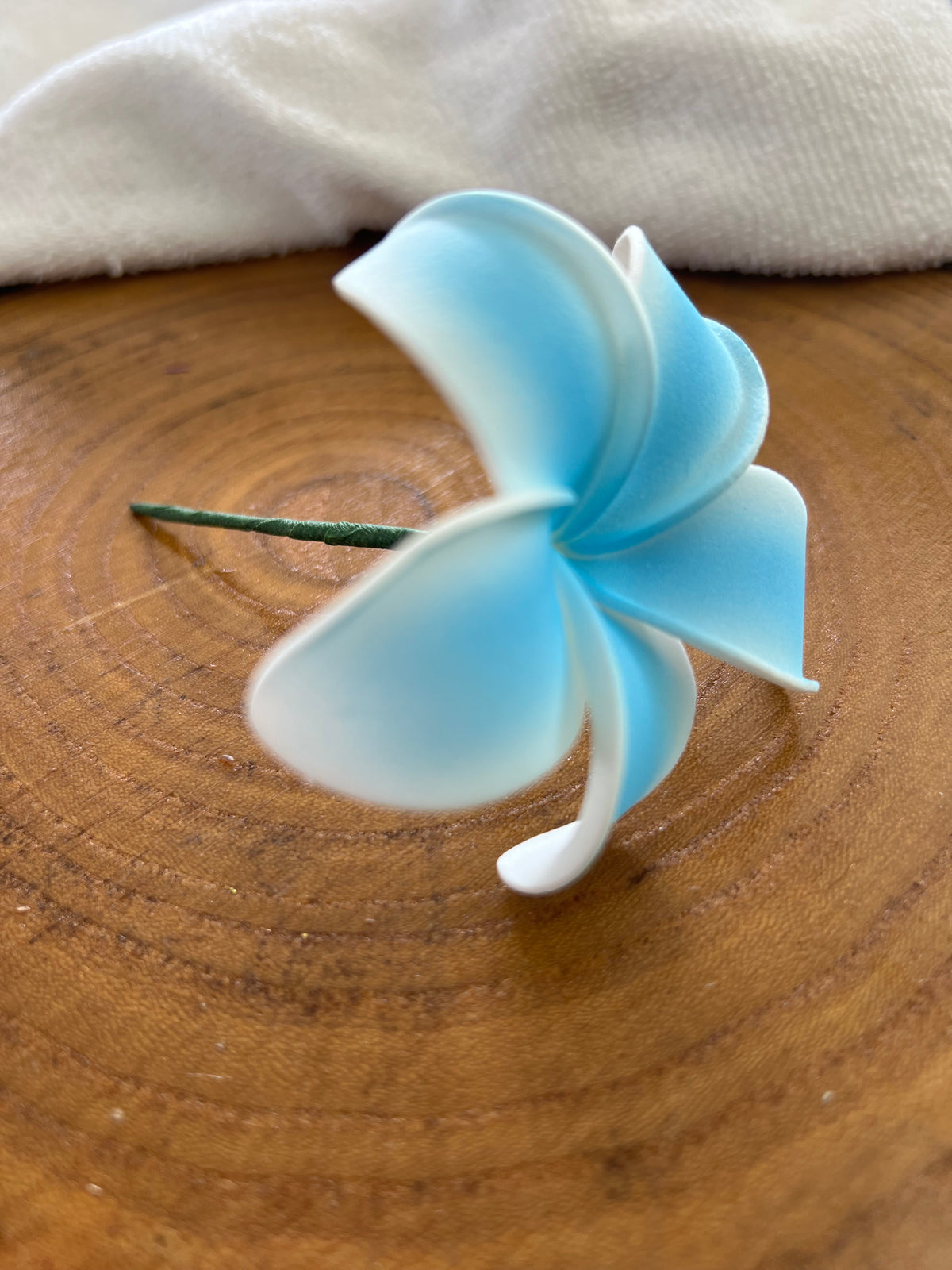 Plumeria