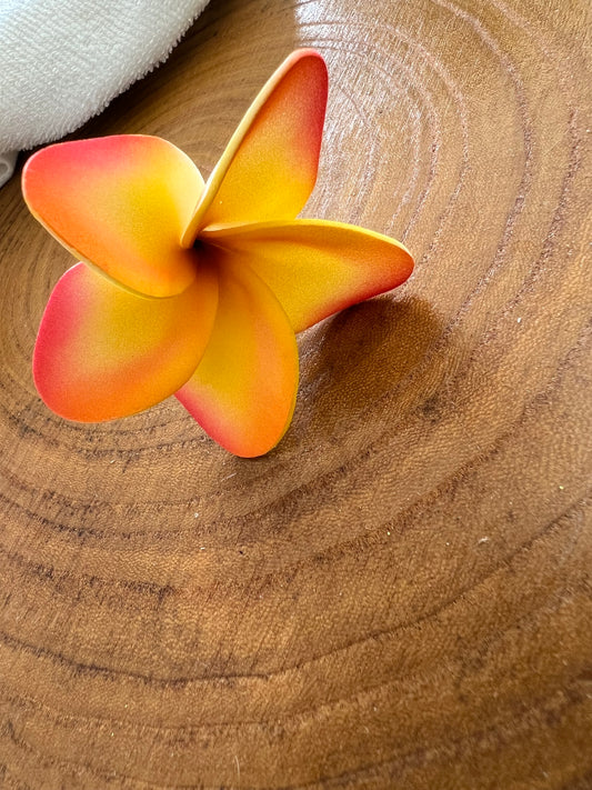 Plumeria Flower